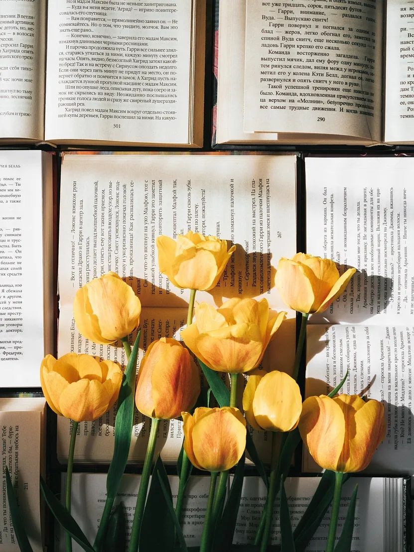 tulips-6255868_1280.jpg