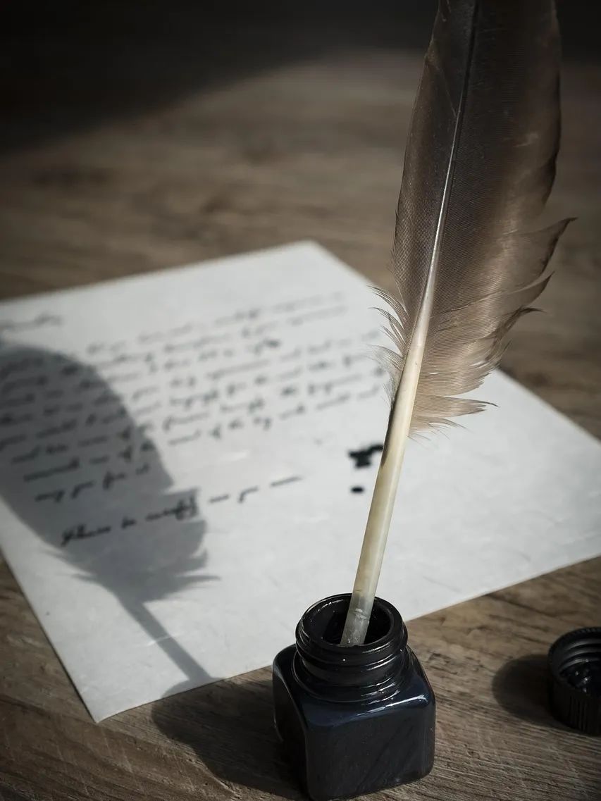 bird-feather-2505307_1280.jpg