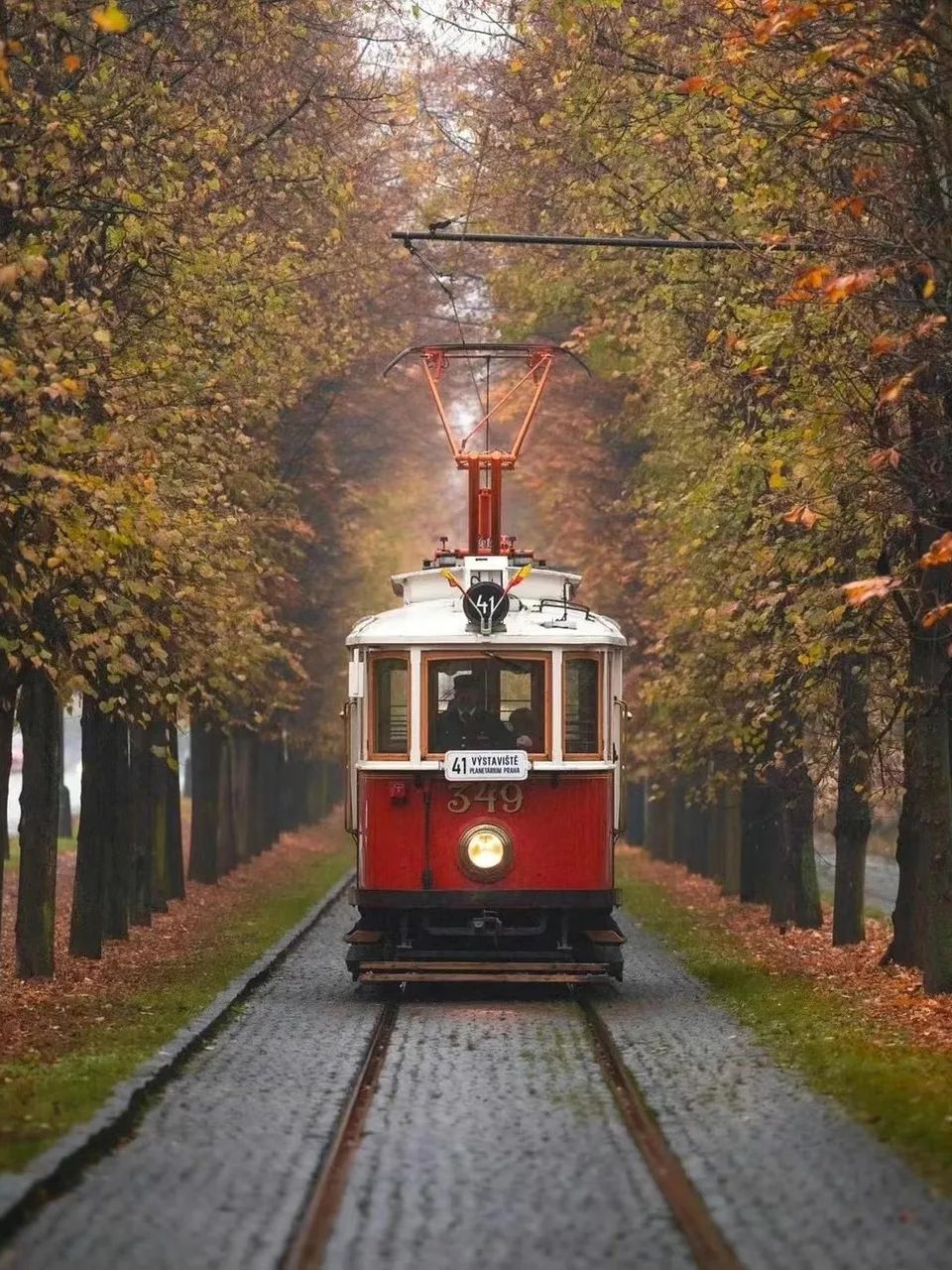 streetcar-7797684_1280.jpg