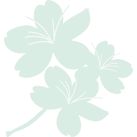 樱花-激活.png