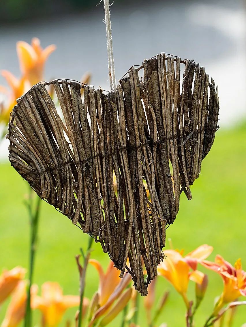 heart-3512021_1280.jpg