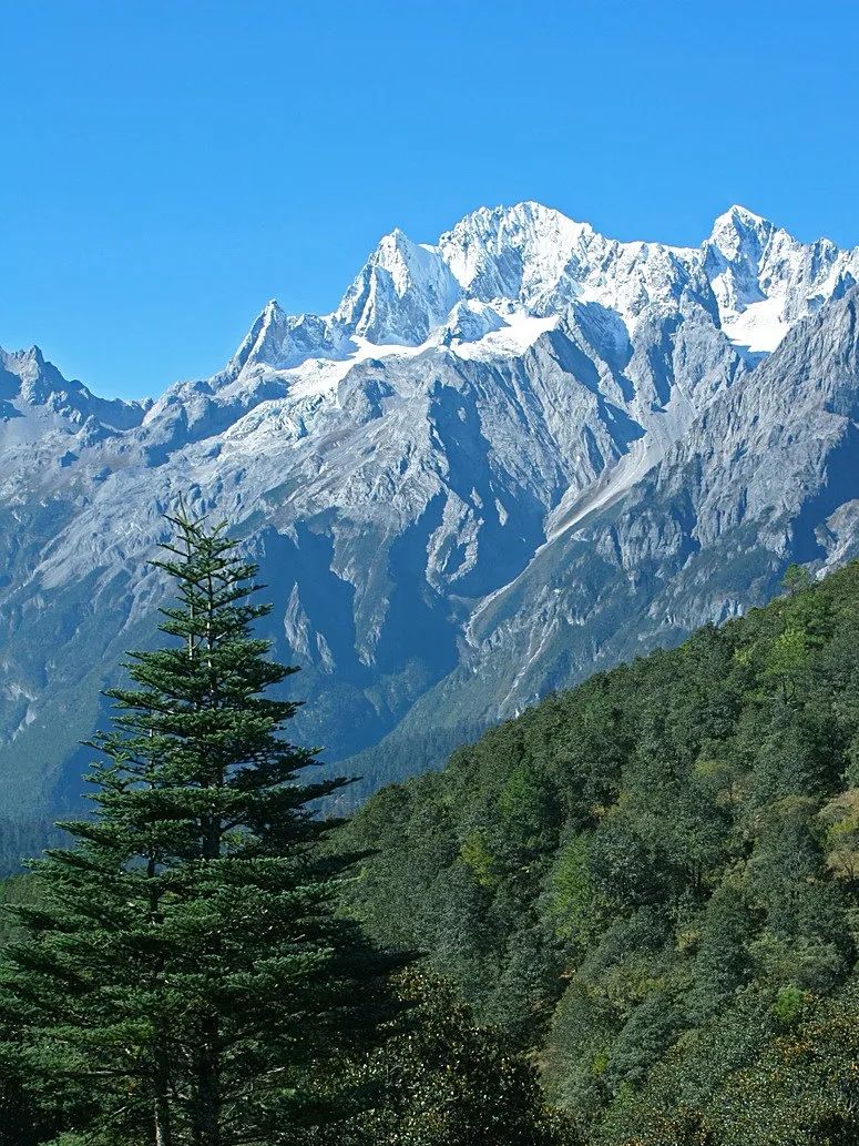 the-jade-dragon-snow-mountain-2469978_1280.jpg