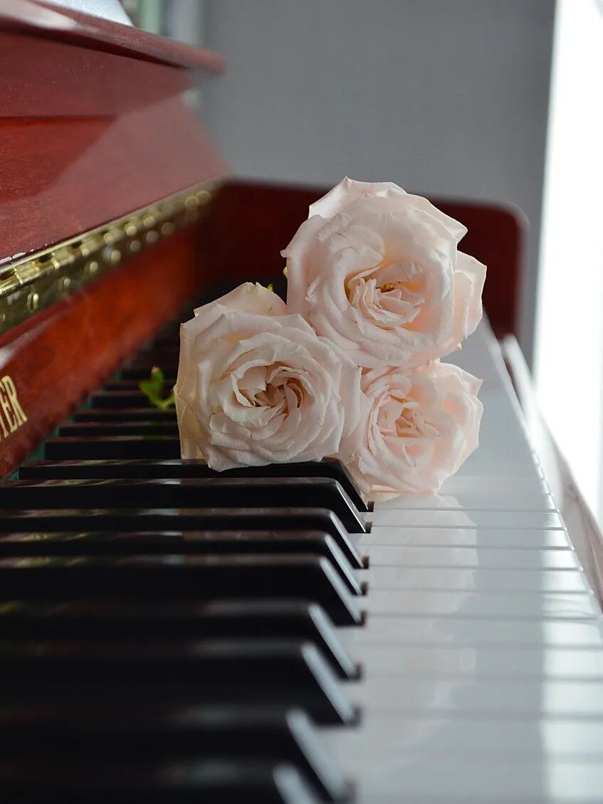 piano-4053241_1280.jpg