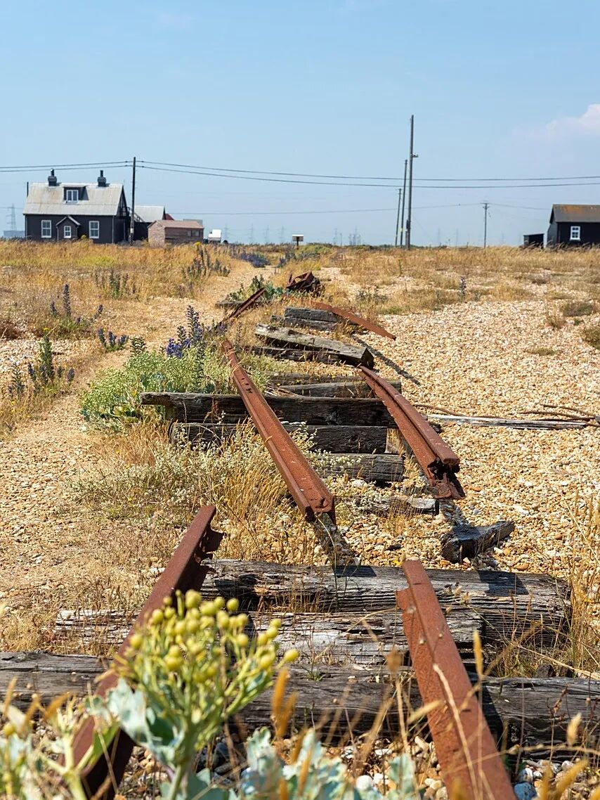 dungeness-4752143_1280.jpg
