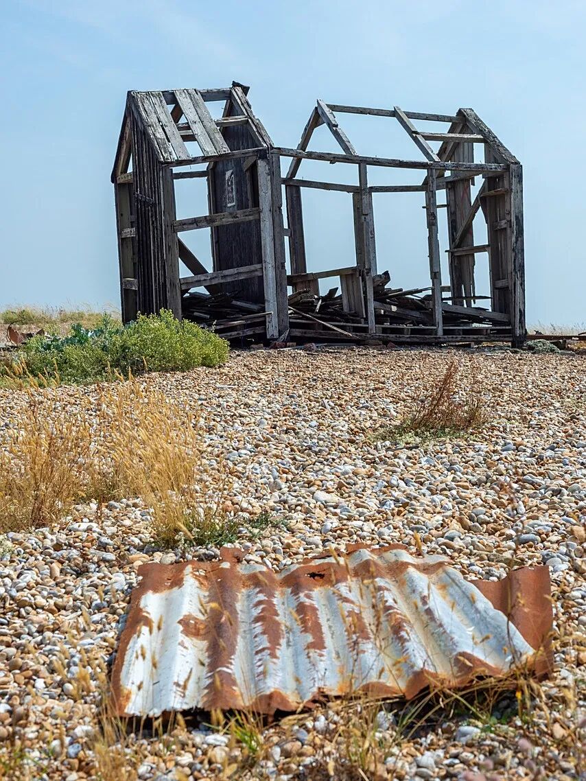 dungeness-4752145_1280.jpg